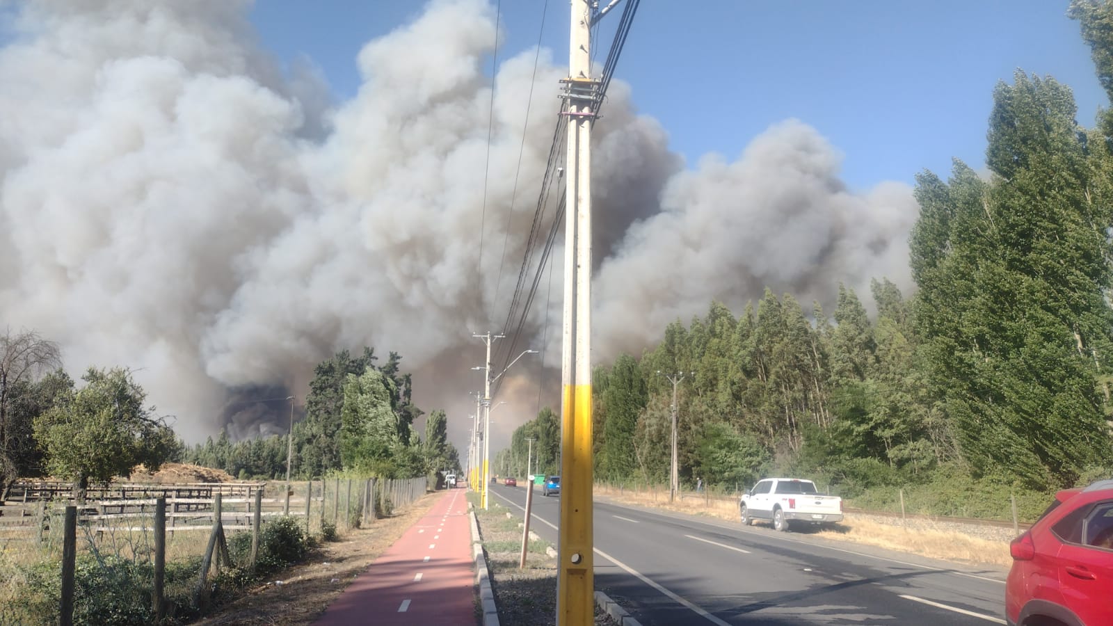 ESACHS PRESENTE EN LAS EMERGENCIAS FORESTALES QUE AFECTARON A LA REGIÓN DEL BÍO BÍO